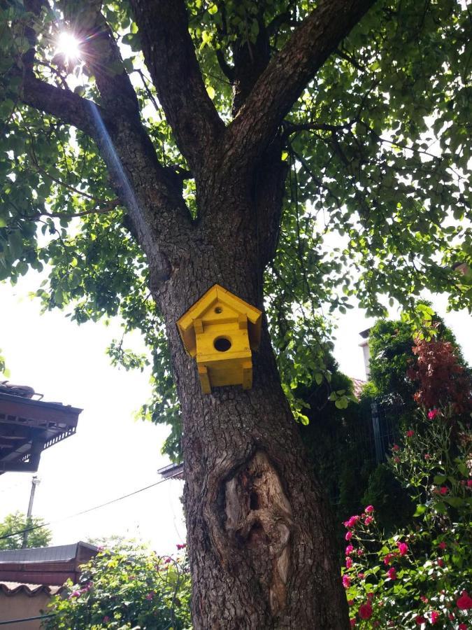 Hedgehog'S Home - Jezeva Kucica Free Parking Сараево Екстериор снимка