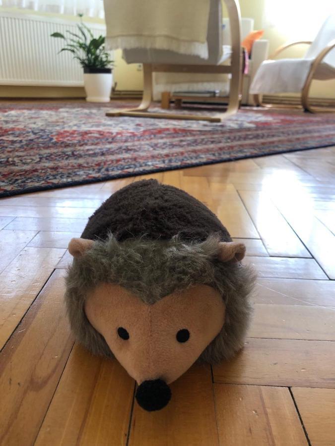 Hedgehog'S Home - Jezeva Kucica Free Parking Сараево Екстериор снимка